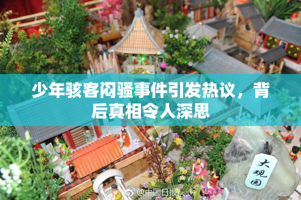少年骇客闷骚事件引发热议，背后真相令人深思