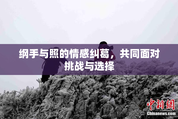纲手与照的情感纠葛，共同面对挑战与选择