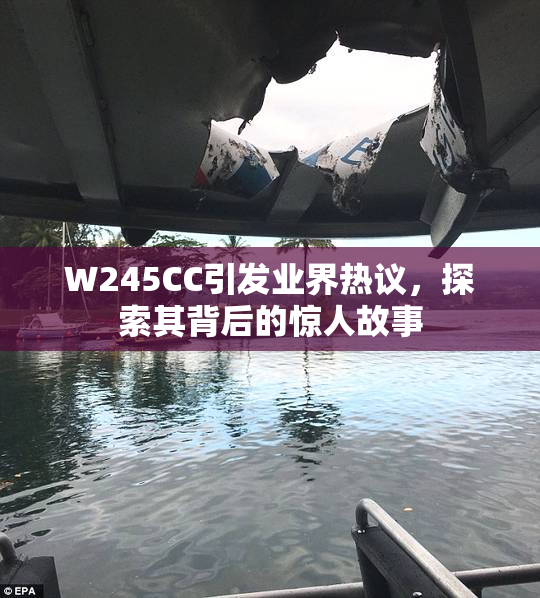 W245CC引发业界热议，探索其背后的惊人故事