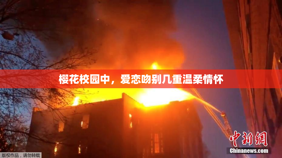 樱花校园中，爱恋吻别几重温柔情怀