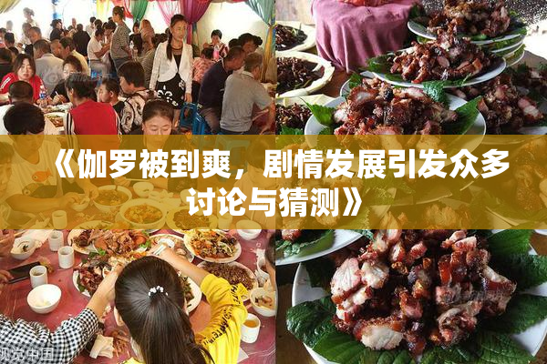《伽罗被到爽，剧情发展引发众多讨论与猜测》