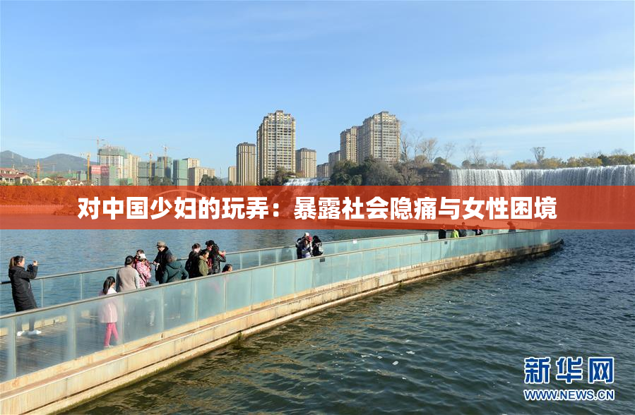对中国少妇的玩弄：暴露社会隐痛与女性困境