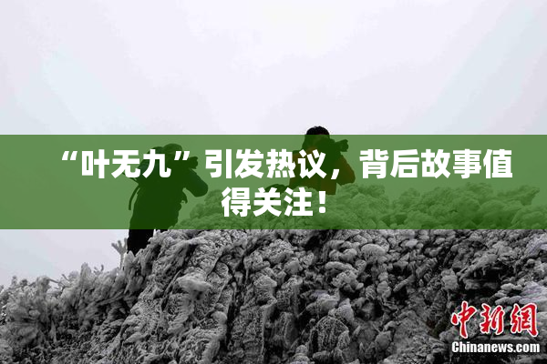 “叶无九”引发热议，背后故事值得关注！
