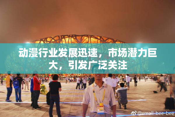 动漫行业发展迅速，市场潜力巨大，引发广泛关注