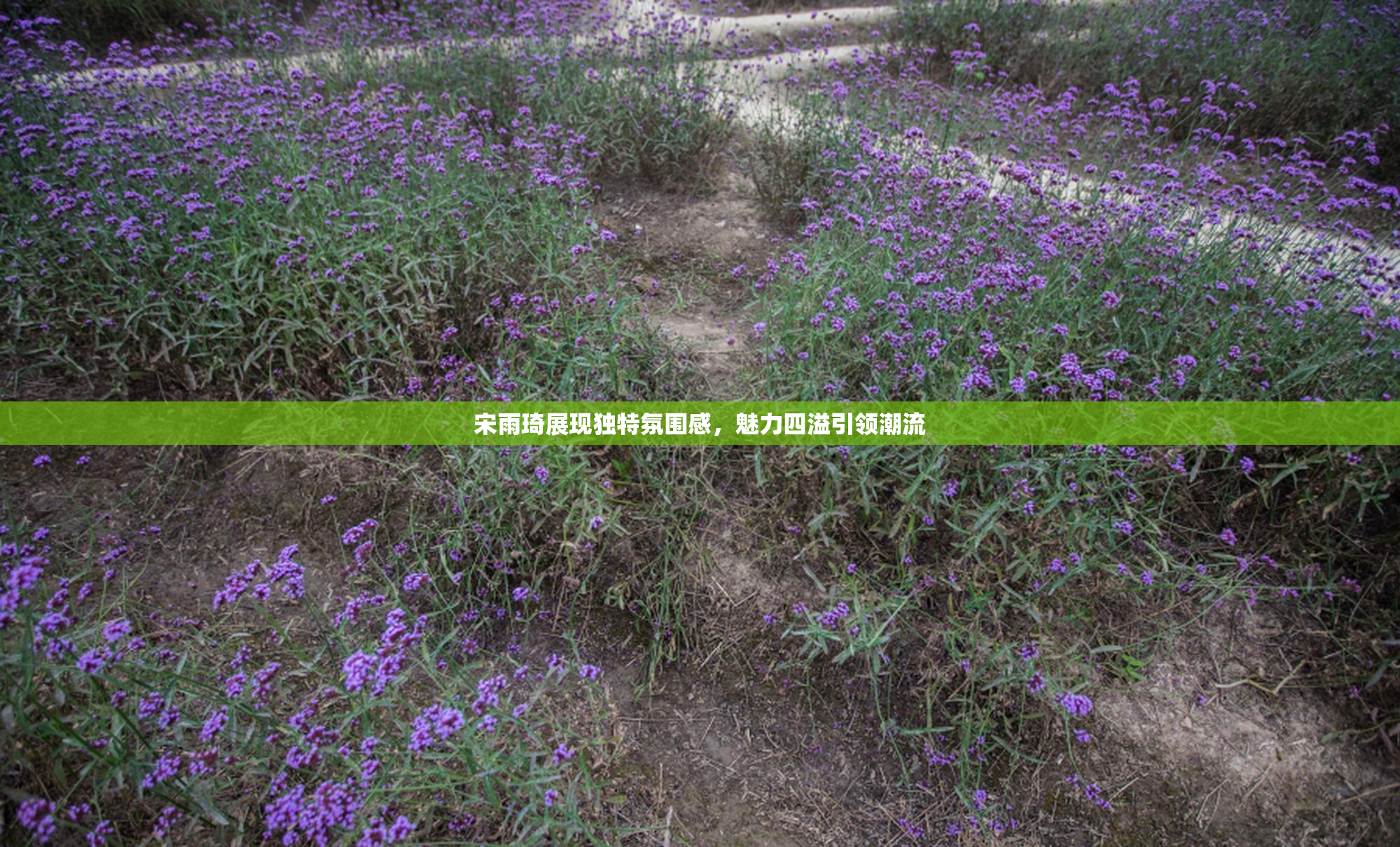 宋雨琦展现独特氛围感，魅力四溢引领潮流