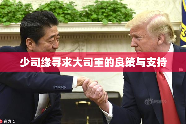 少司缘寻求大司重的良策与支持