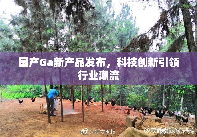 国产Ga新产品发布，科技创新引领行业潮流