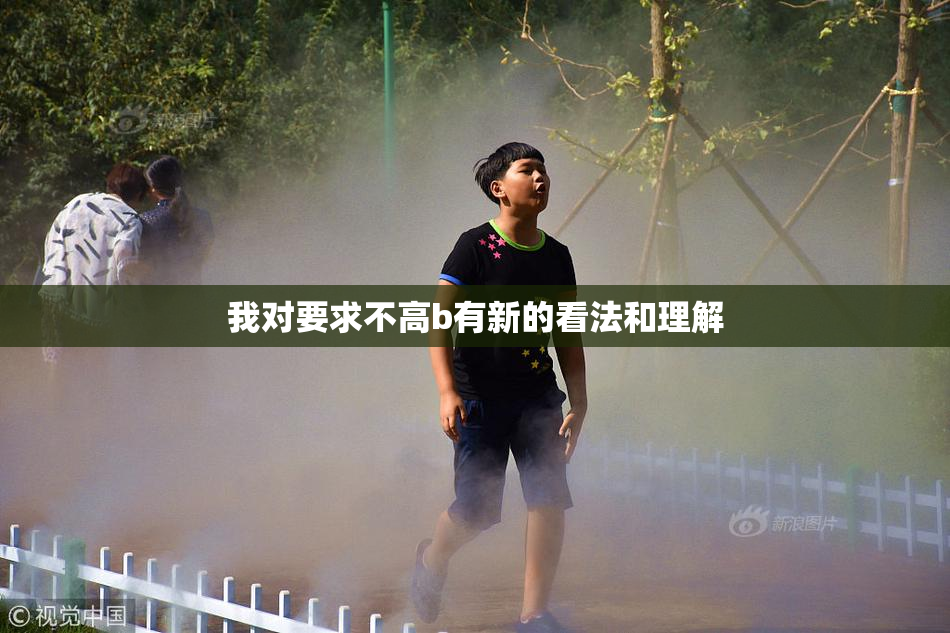 我对要求不高b有新的看法和理解