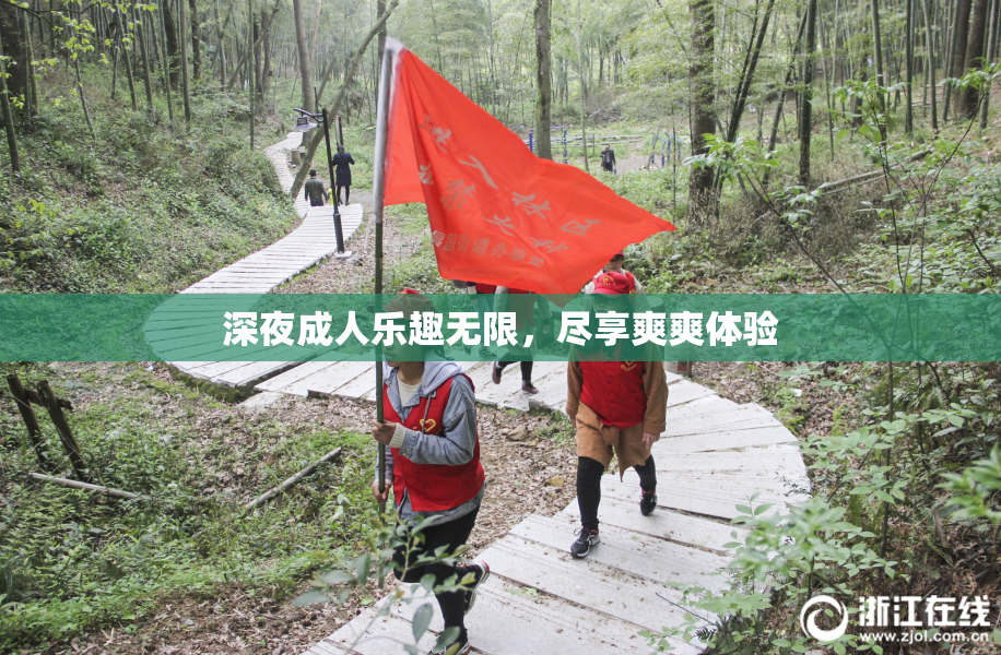深夜成人乐趣无限，尽享爽爽体验