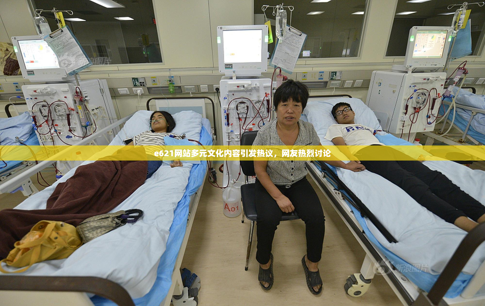 e621网站多元文化内容引发热议，网友热烈讨论