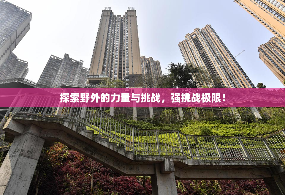 探索野外的力量与挑战，强挑战极限！