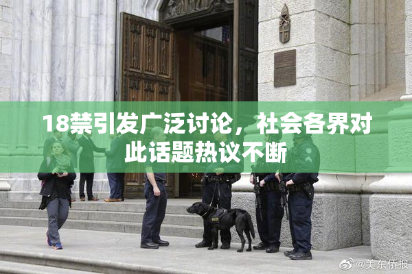 18禁引发广泛讨论，社会各界对此话题热议不断