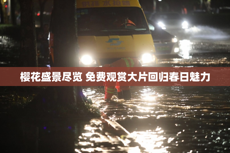 樱花盛景尽览 免费观赏大片回归春日魅力