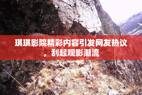 琪琪影院精彩内容引发网友热议,刮起观影潮流