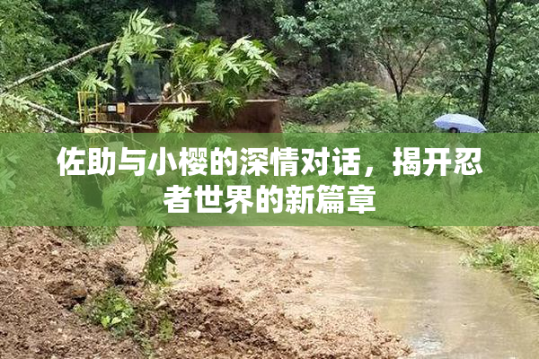 佐助与小樱的深情对话，揭开忍者世界的新篇章