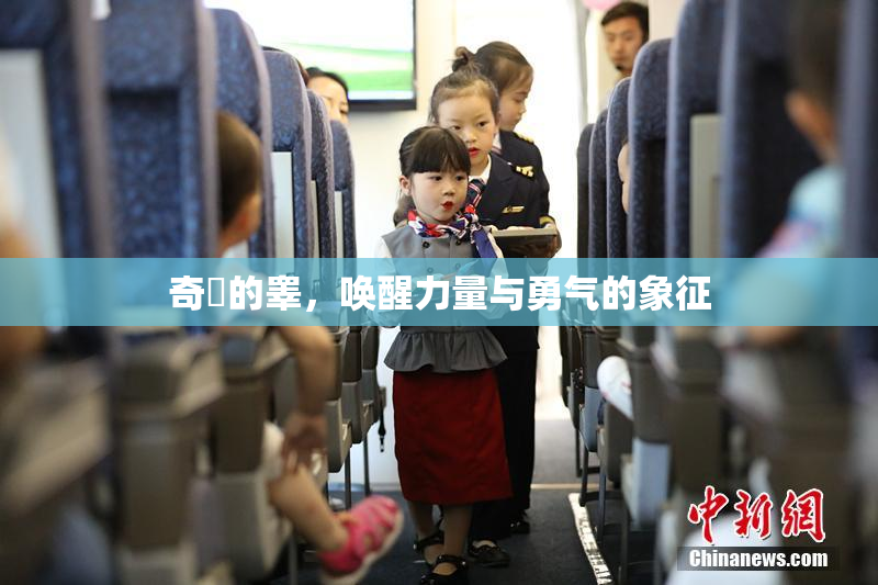 奇犽的睾，唤醒力量与勇气的象征