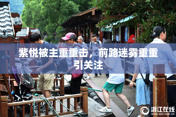 紫悦被主重重击,前路迷雾重重引关注