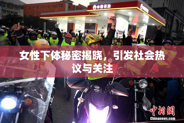 女性下体秘密揭晓，引发社会热议与关注