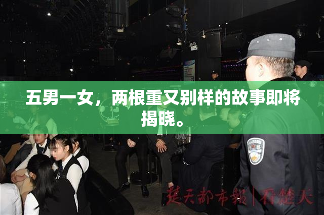 五男一女，两根重又别样的故事即将揭晓。