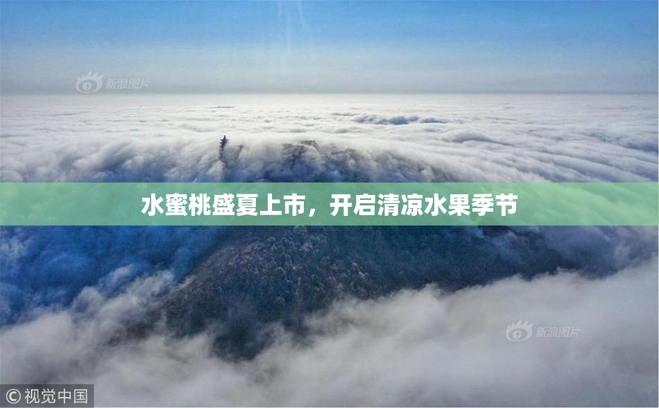 水蜜桃盛夏上市,开启清凉水果季节