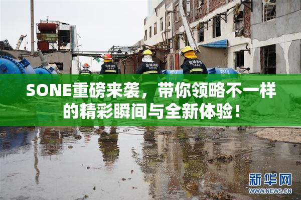 SONE重磅来袭，带你领略不一样的精彩瞬间与全新体验！