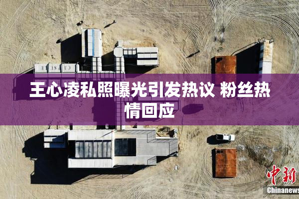 王心凌私照曝光引发热议 粉丝热情回应