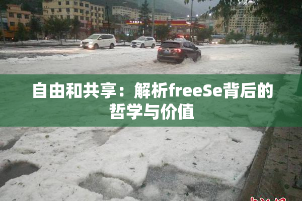 自由和共享：解析freeSe背后的哲学与价值