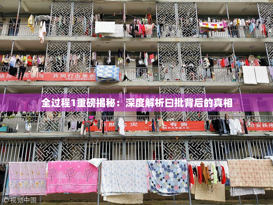 全过程1重磅揭秘：深度解析曰批背后的真相