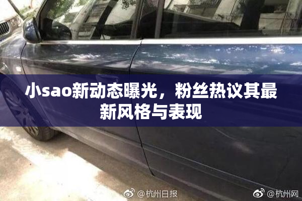 小sao新动态曝光，粉丝热议其最新风格与表现