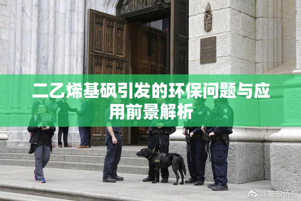 二乙烯基砜引发的环保问题与应用前景解析