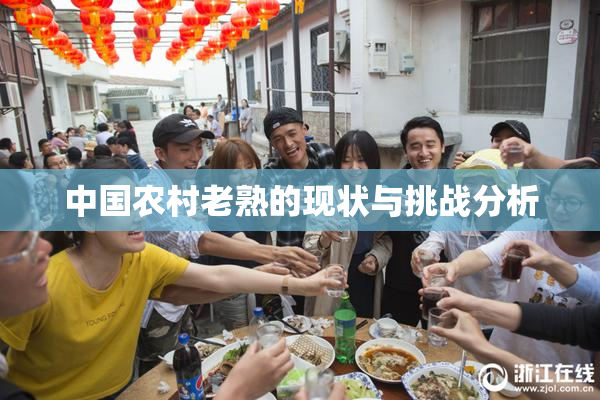 中国农村老熟的现状与挑战分析
