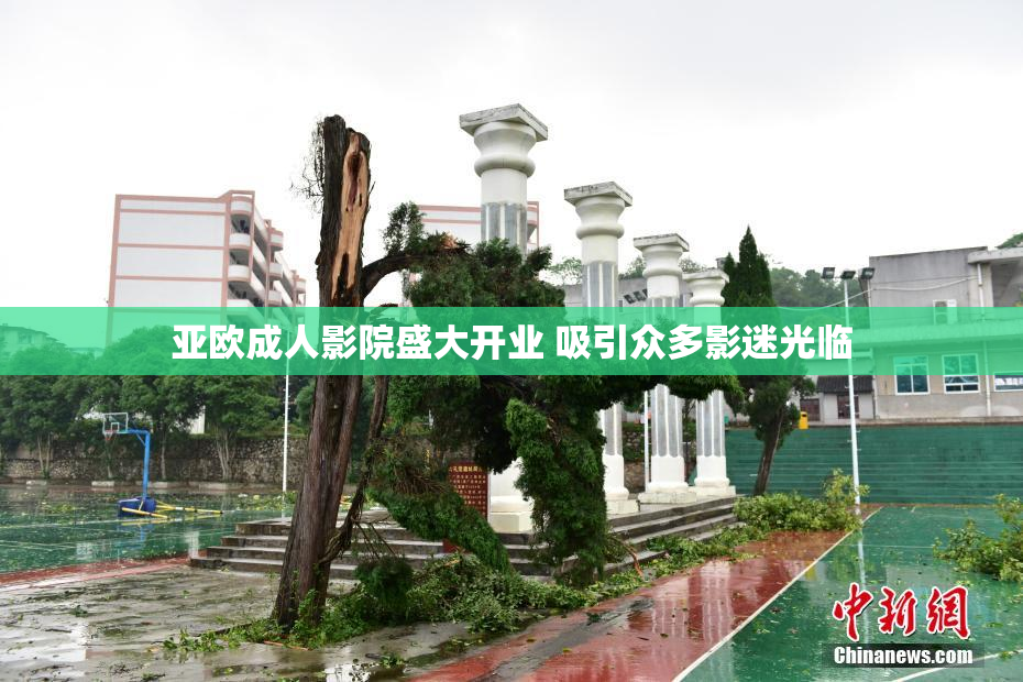亚欧成人影院盛大开业 吸引众多影迷光临