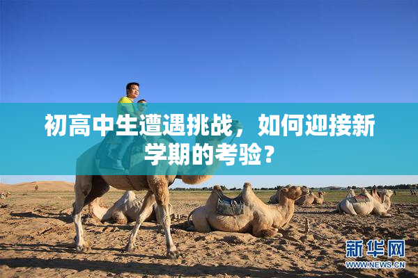 初高中生遭遇挑战，如何迎接新学期的考验？