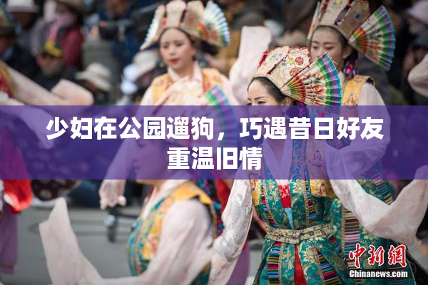 少妇在公园遛狗，巧遇昔日好友重温旧情