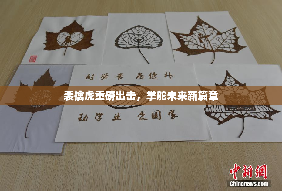 裴擒虎重磅出击,掌舵未来新篇章
