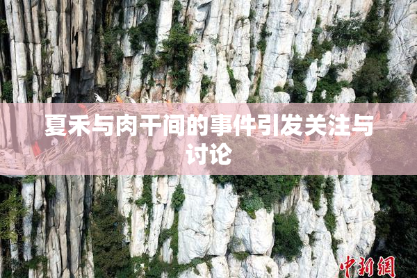 夏禾与肉干间的事件引发关注与讨论