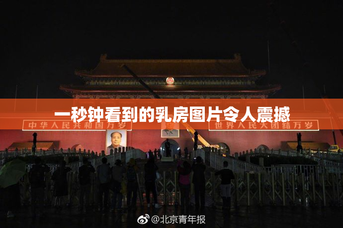 一秒钟看到的乳房图片令人震撼