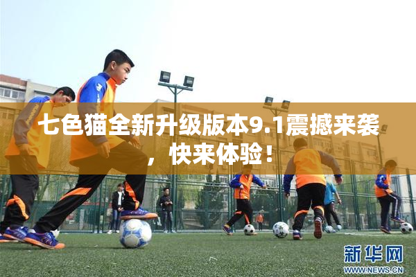 七色猫全新升级版本9.1震撼来袭，快来体验！