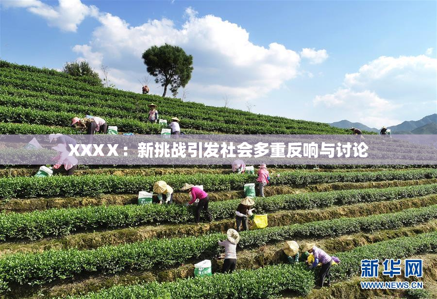 XXXⅩ：新挑战引发社会多重反响与讨论