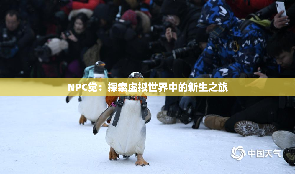 NPC觉：探索虚拟世界中的新生之旅