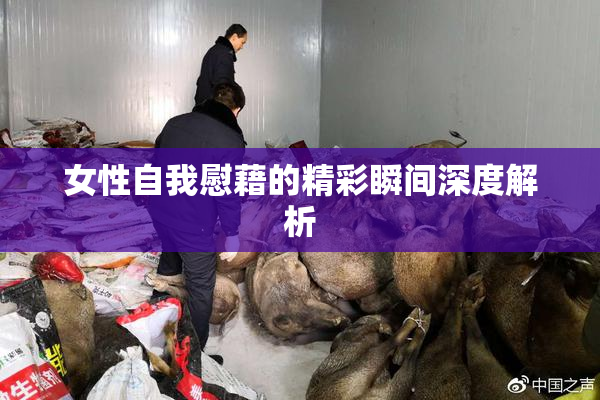 女性自我慰藉的精彩瞬间深度解析