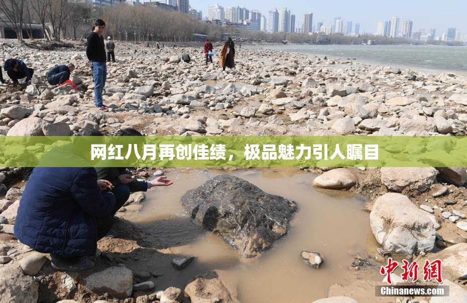 网红八月再创佳绩，极品魅力引人瞩目