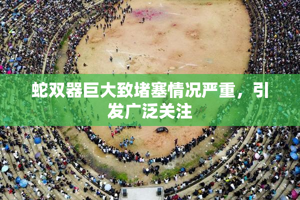蛇双器巨大致堵塞情况严重，引发广泛关注