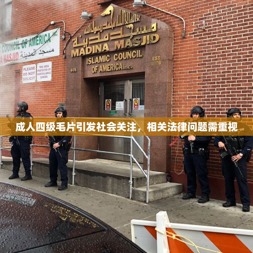 成人四级毛片引发社会关注，相关法律问题需重视