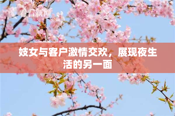 妓女与客户激情交欢，展现夜生活的另一面