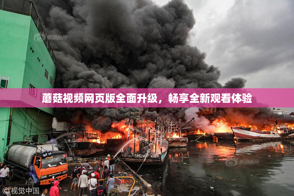 蘑菇视频网页版全面升级，畅享全新观看体验