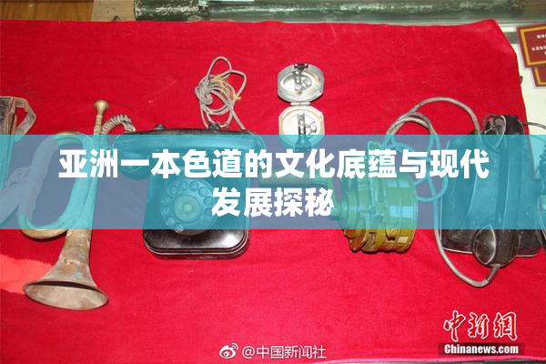 亚洲一本色道的文化底蕴与现代发展探秘