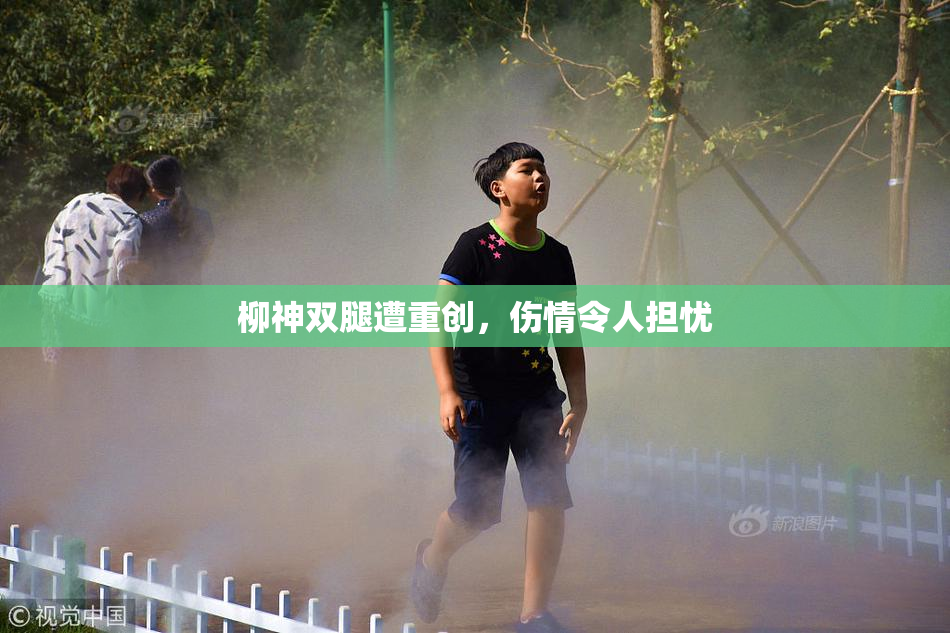 柳神双腿遭重创，伤情令人担忧