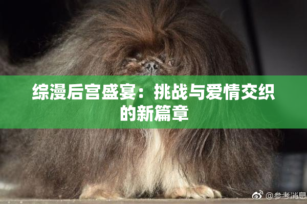 综漫后宫盛宴：挑战与爱情交织的新篇章