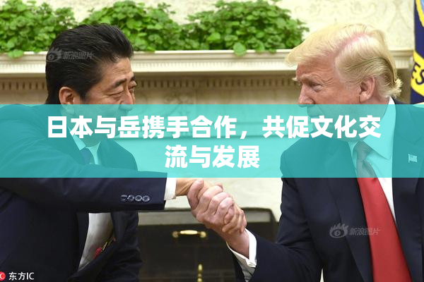 日本与岳携手合作，共促文化交流与发展